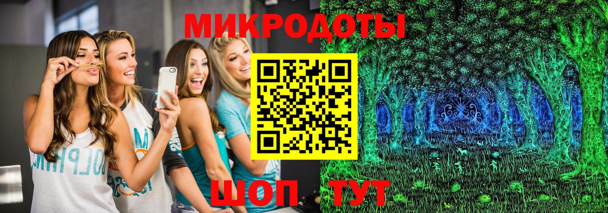 Псилоцибиновые грибы Cubensis Грязи