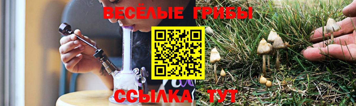 Галлюциногенные грибы GOLDEN TEACHER  Галлюциногенные грибы Psilocybine cubensis  Вход с VPN  Грязи 